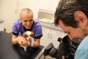 BrayVet and Animal A&E worked together on the latest series