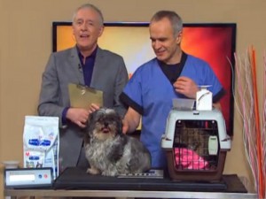 Project Pet Slimdown aims to demystify weight loss in pets