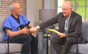 Pete and Mark discuss options for holiday care of pets