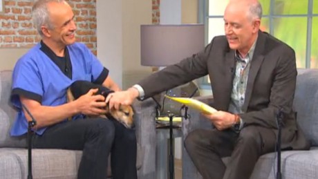 Pete and Mark discuss options for holiday care of pets