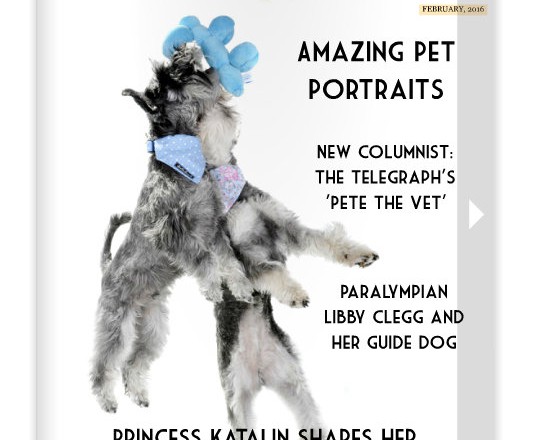 Pet magazines have moved into the 21st Century - have a look for yourself  at Pets Magazine - Pete the Vet