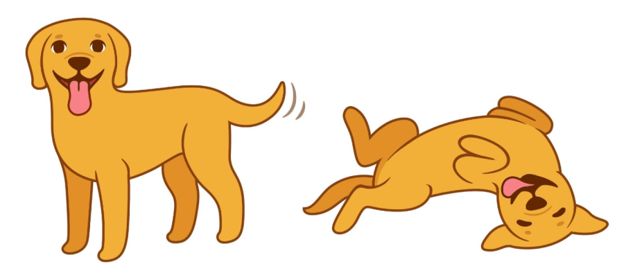 Happy dog's body language