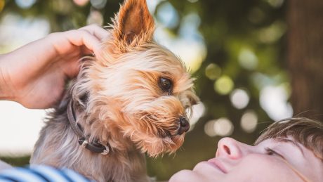 Taking great selfies with your dog