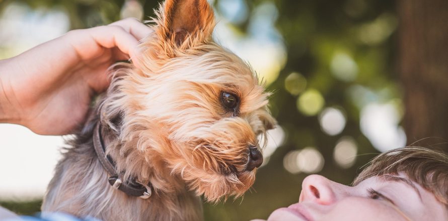 Taking great selfies with your dog