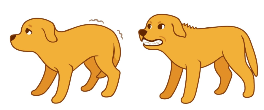Stressed dog's body language