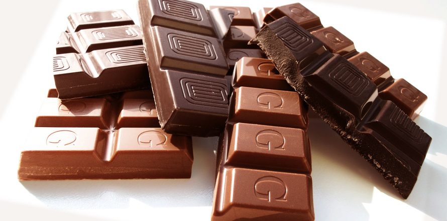Chocolate poisoning is common in dogs, and the darker it is, the bigger the emergency