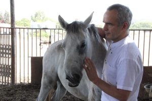 The human-animal bond is important