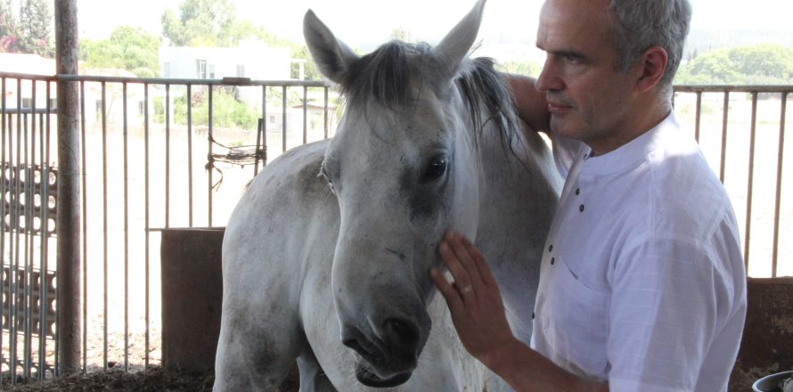 The human-animal bond is important